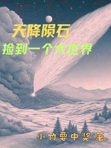 无敌九皇子百度百科