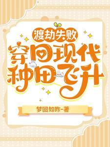 此时彼时未时