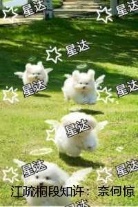 快穿之拒当前任