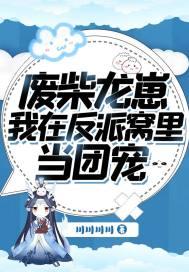 仙奴c315价格