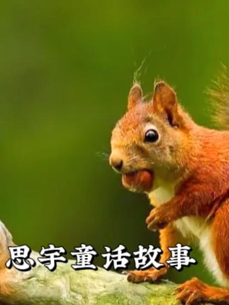 离婚后我成了前妻高攀不起的神听书