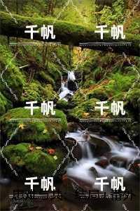让你们养猪?却把我踢出同学群? 笔趣阁