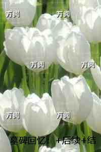 快穿报告宿主!功德又在倒退了TXT