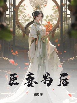 曹操穿越武大郎 神枪老飞侠起点