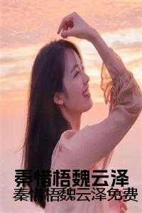 赘婿红颜免费阅读