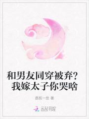 星际第一分析师全文免费阅读