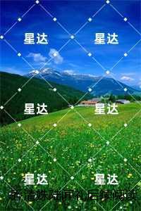 乔清姝陆闻礼