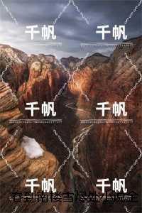 傅庭州苏枝夏