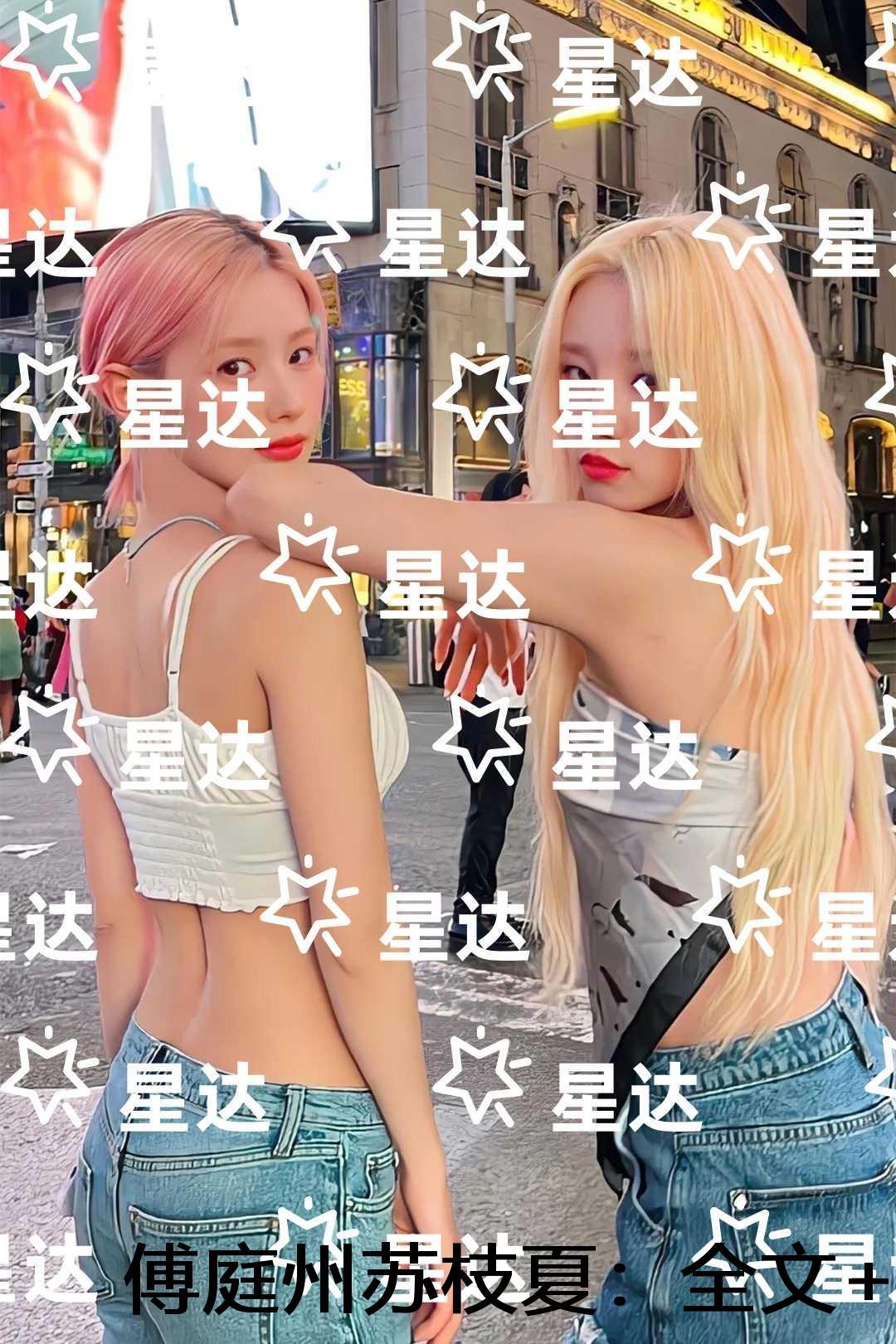 傅庭州苏枝夏